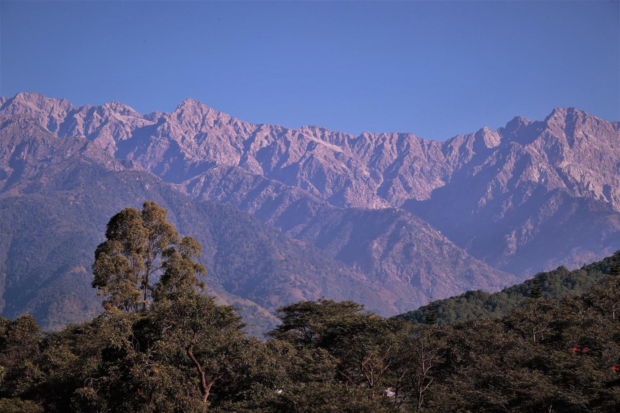 Lamrin Norwood Green Palampur, Himachal Pradesh Exteriér fotografie