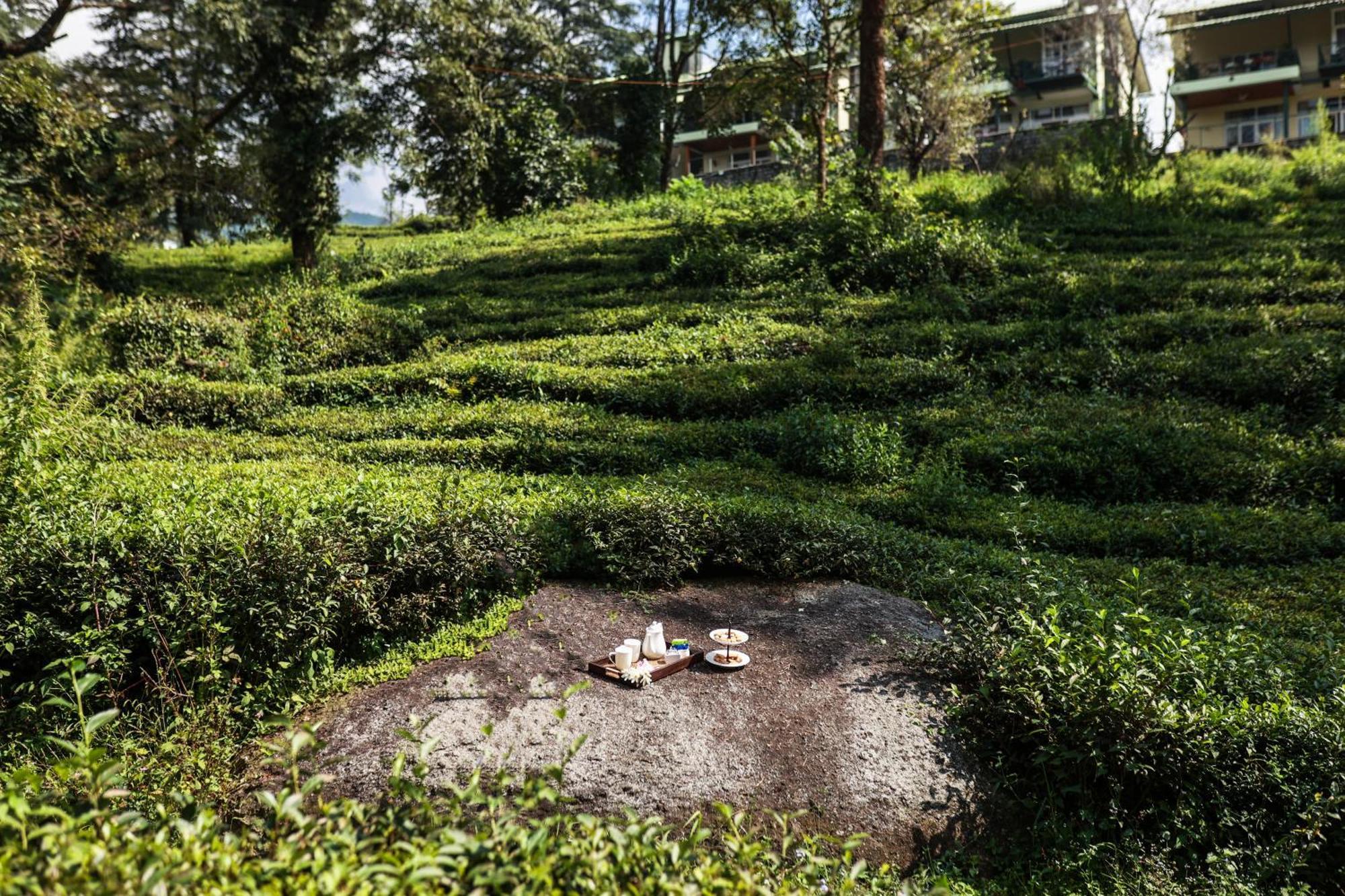 Lamrin Norwood Green Palampur, Himachal Pradesh Exteriér fotografie